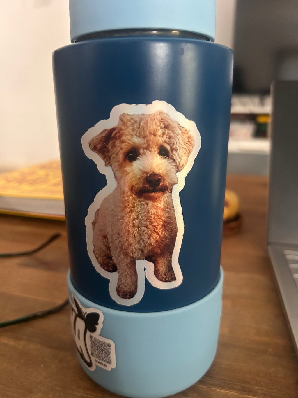 die cut stickers